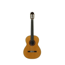 Guitarra clásica  Jtc-100 José Torres