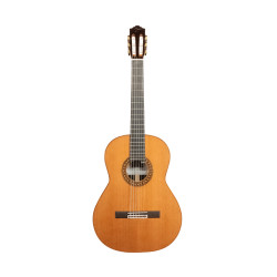 Guitarra clásica  Jtc-300 José Torres