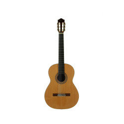 Guitarra clásica  Jtc-75 José Torres