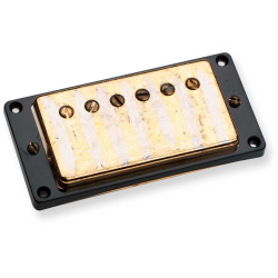 Antq Humbkr Neck Gold Cover    Seymour Duncan